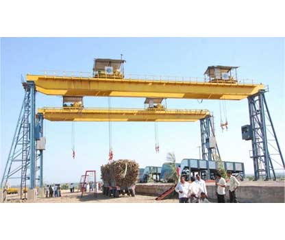 Cane Unloader Crane in Raipur